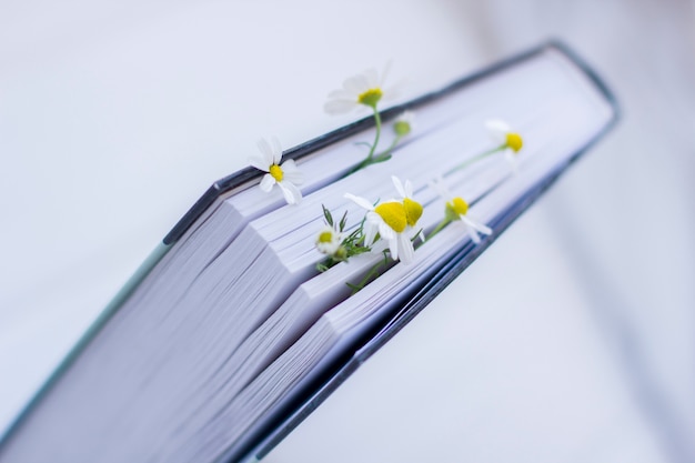 Libro decorado con flores de margarita blanca