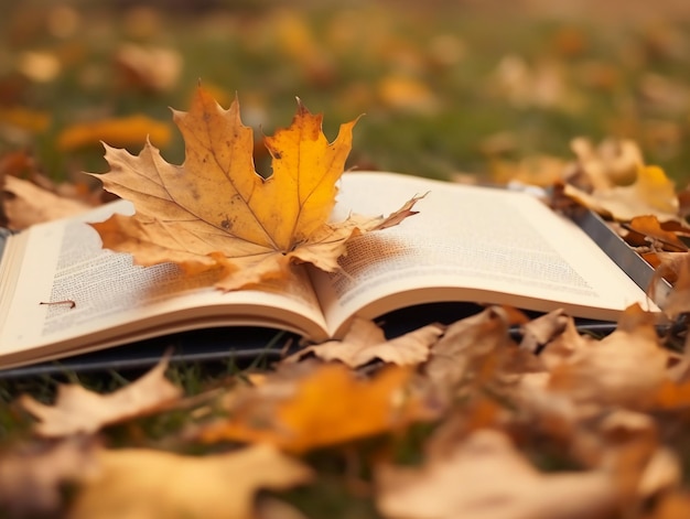 Un libro con una hoja y un libro en el suelo.