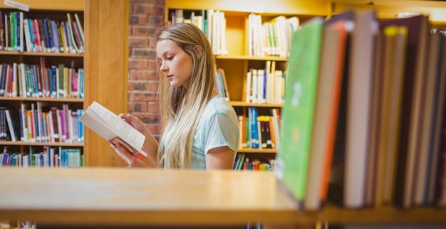 Libro de lectura rubio bastante joven en biblioteca