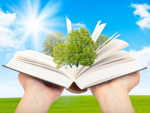 Foto libro mágico en manos humanas con un árbol verde y los rayos de luz en el fondo de la naturaleza símbolo de conocimiento