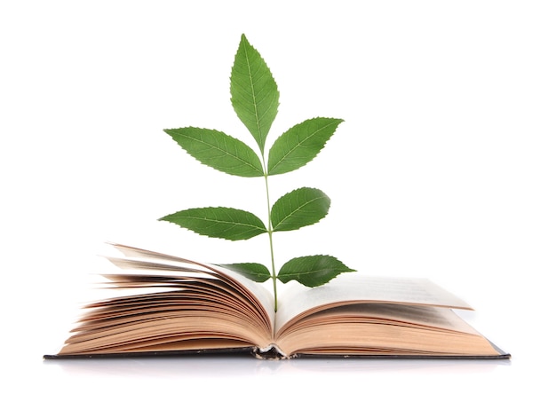 Libro con planta aislado en blanco