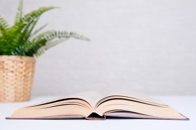 Libro de tapa dura abierto y una planta en maceta sobre una mesa blanca con espacio de copia.