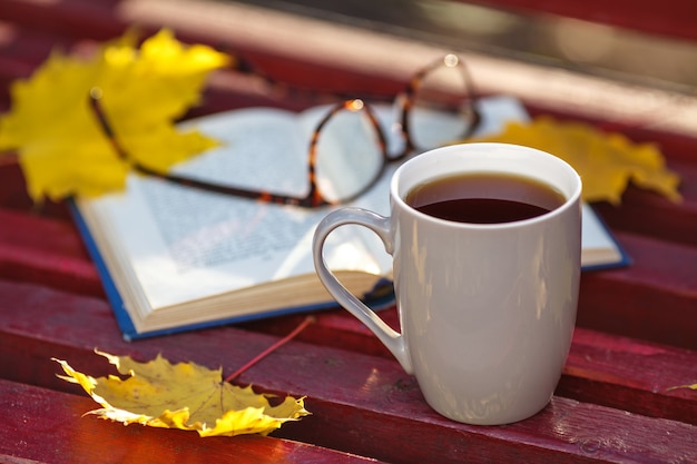 Libro viejo en el banco en el parque otoño