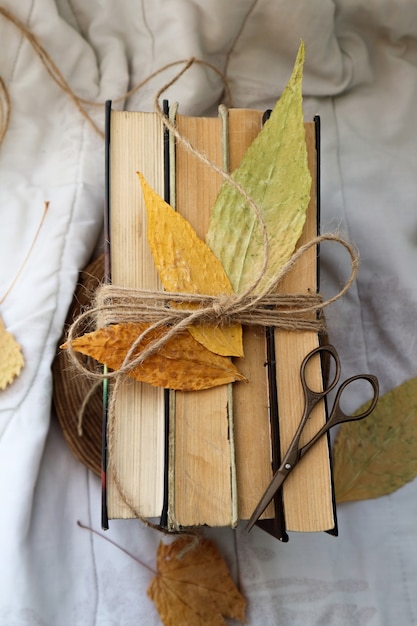 Libros antiguos y hojas de otoño