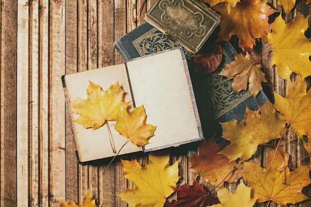 Libros y hojas de otoño