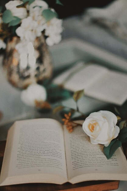 Libros y rosas