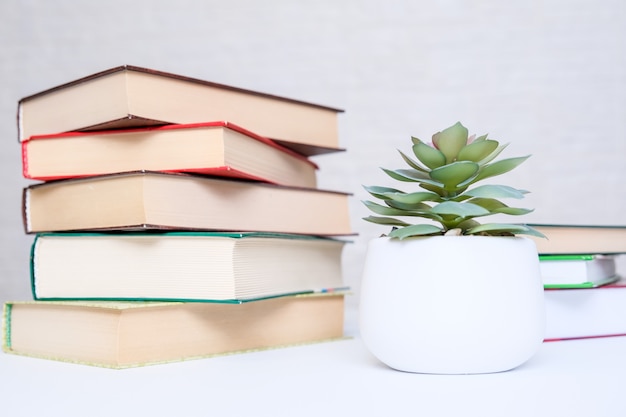 Foto libros de tapa dura modernos apilados sobre una mesa blanca con planta en maceta verde como concepto de lectura y educación.