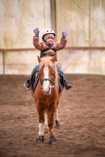 Foto lição de equitação de criança pequena menina de três anos monta um pônei e faz exercícios foto de alta qualidade