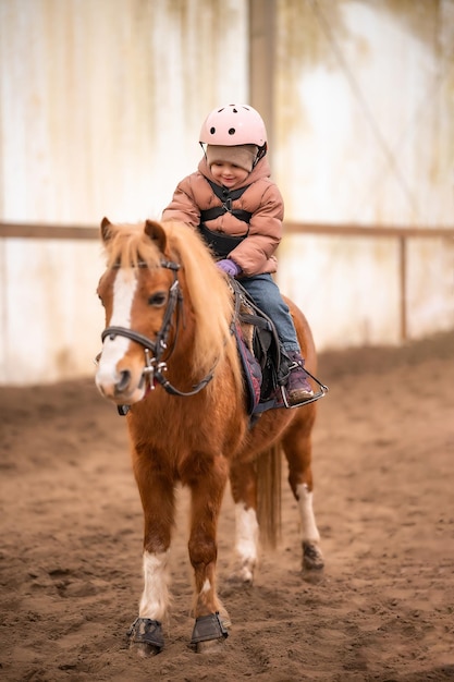 Lição de equitação para criança Menina de três anos monta um pônei e faz exercícios