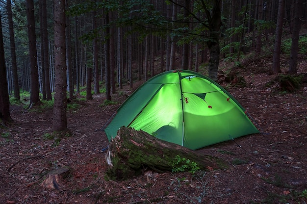 Licht im Touristenzelt im Abendwald