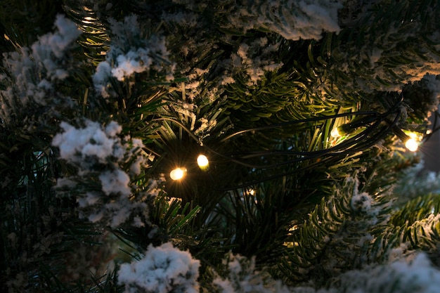 Lichter am Weihnachtsbaum