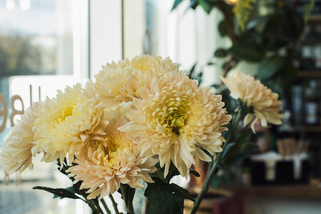 Lichtgelbe Chrysanthemum Blütenkopf Knospe Blumenladen Blumenladen