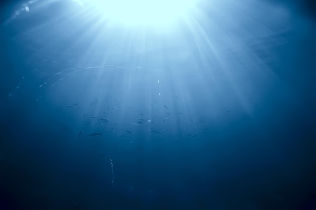 Lichtstrahlen unter Wasser, abstrakter Meereshintergrund Naturlandschaft Strahlen verschwommen