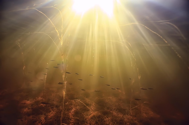 Lichtstrahlen unter Wasser frischer See, abstrakter Hintergrund Natur Landschaft Sonne Wasser