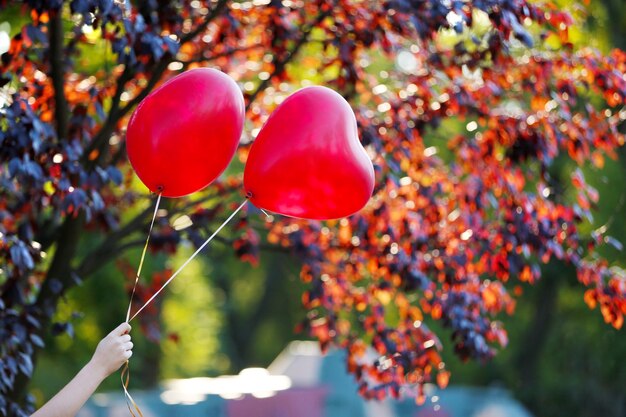 Liebe Herzballons, im Freien