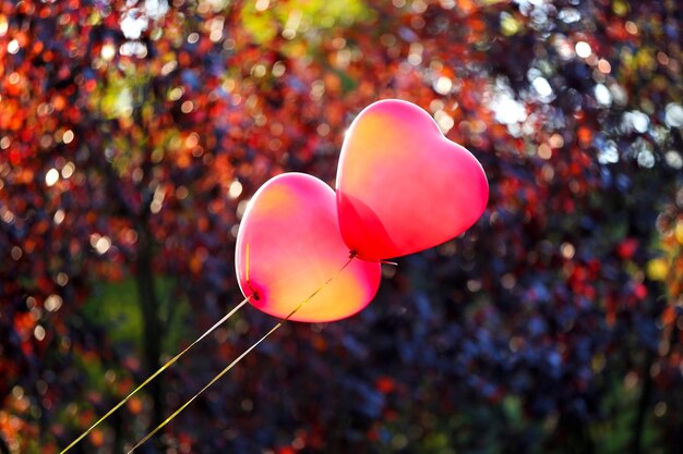 Liebe Herzballons, im Freien