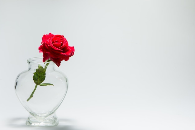 Liebe Valentinstag Hintergrund von roten Rosen in herzförmigen Flasche