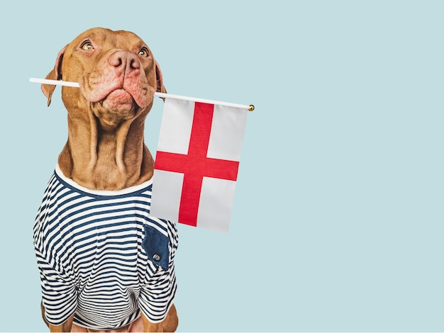 Liebenswerter hübscher Hund und Flagge von England