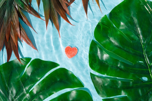 Liebes- und Sommerkonzept Rotes Herz unter dem klaren, hellblauen, welligen Wasser mit tropischen Blättern Sommer- und Liebesarrangement