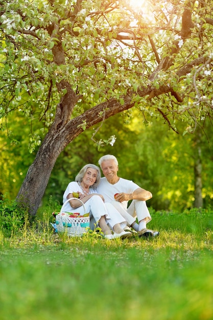 Liebevolle ältere Paare, die ein Picknick im Sommergarten haben