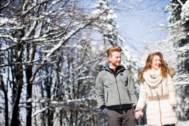 Liebevolle junge Paare am Winterwald