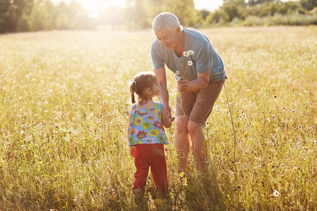Liebevoller Großvater verbringt Freizeit mit seiner kleinen Enkelin, schlendert gemeinsam auf der grünen Wiese, holt Kamillen ab, hat gute Beziehung. Kinder und ältere Menschen. Generationskonzept