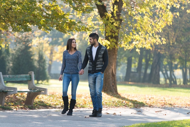 Liebhaber gehen Hand in Hand im Herbstpark