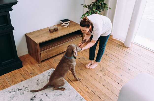 Lifestyle-Momente einer jungen Frau zu Hause. Frau spielt mit ihrem Hund im Wohnzimmer