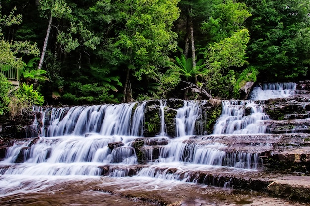 Liffey fällt Staatsreserve in der Midlands-Region von Tasmanien, Australien.