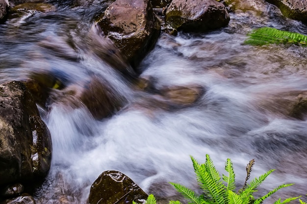 Foto liffey fällt staatsreserve in der midlands-region von tasmanien, australien.