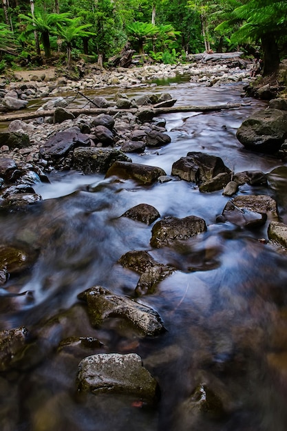 Foto liffey fällt staatsreserve in der midlands-region von tasmanien, australien.