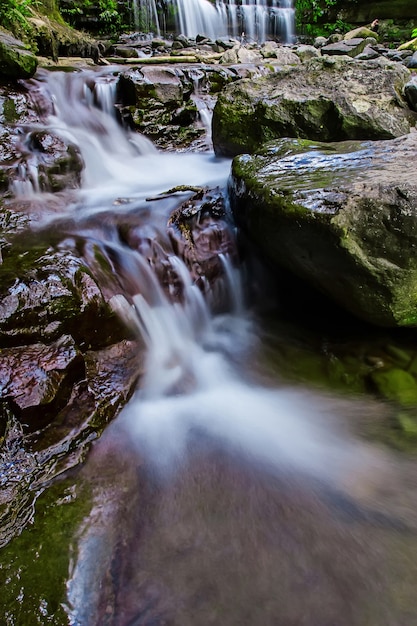 Foto liffey fällt staatsreserve in der midlands-region von tasmanien, australien.