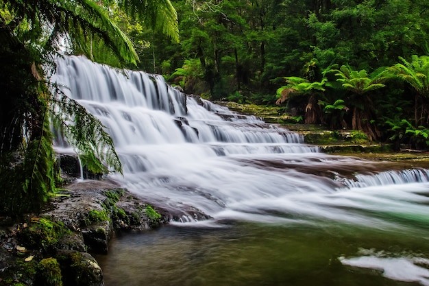 Foto liffey fällt staatsreserve in der midlands-region von tasmanien, australien.