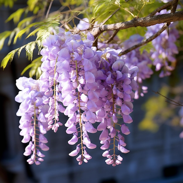 Lila Blumen hängen von einem Baum vor einem Gebäude mit generativer KI