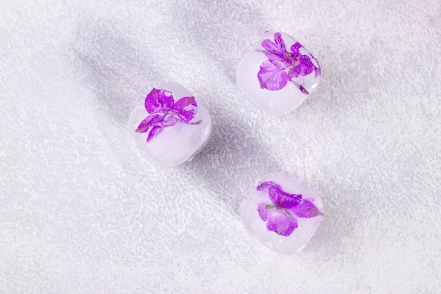 Lila Blumen in Eiswürfeln auf hellgrauem Hintergrund mit Kopienraum eingefroren.