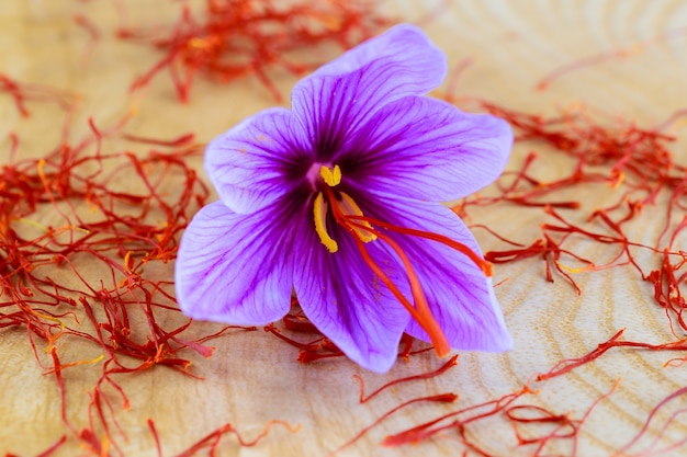 Lila Blumen von Safran und Staubblättern auf hölzernem Hintergrund