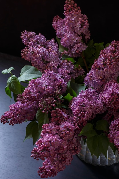 Lila Blumenstrauß auf dunklem Hintergrund