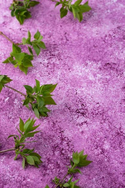 Foto lila hintergrund mit zweig des baumfrühlingskonzepts