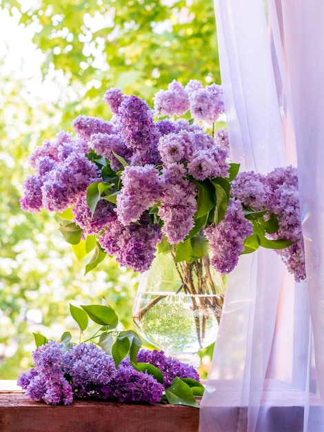 Lila en un jarrón en la ventanaHermosas y delicadas flores.