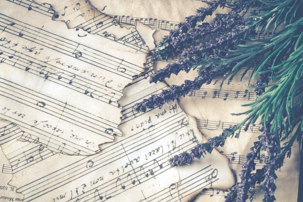 Lila Lavendel über Musikblatt Foto