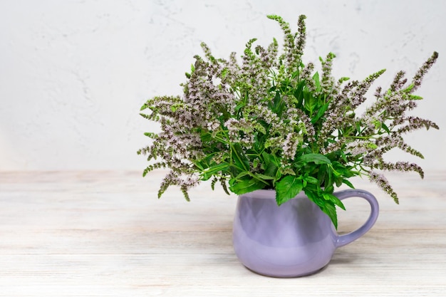 Lila Minzblüten mit grünen Blättern in einer lila Tasse auf weißem Holzhintergrund Hausgemachte Kräuter für Tee Platz für eine Inschrift