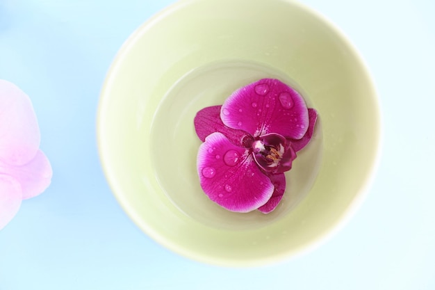 Lila Orchidee in einem Teller mit Wasser auf weißem Hintergrund