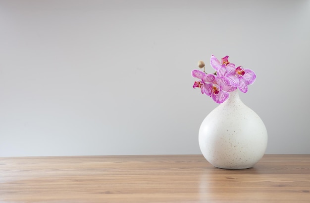 lila Orchidee in einer modernen Keramikvase auf weißem Hintergrund