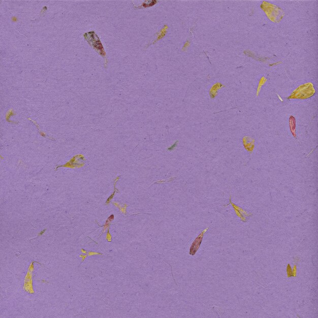 Lila Papierhintergrund mit getrockneten Blütenblättern