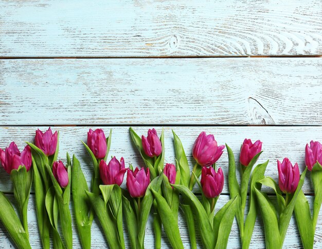 Lila schöne Tulpen auf farbigem Holzhintergrund