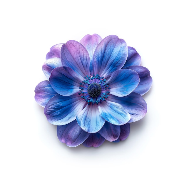 Lila und blaue Blume auf weißem Hintergrund Generative KI