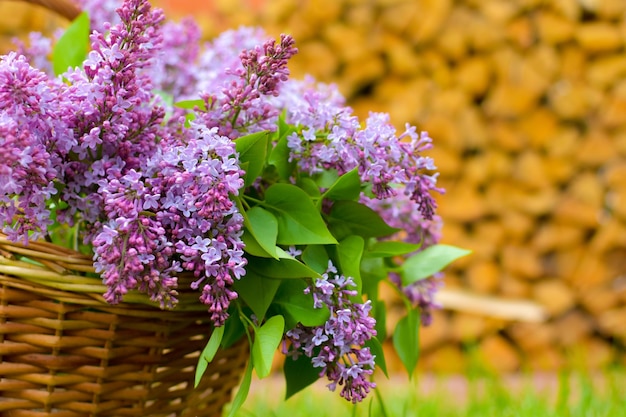 lilas frescas en el porche de la casa en un banco ramo de verano