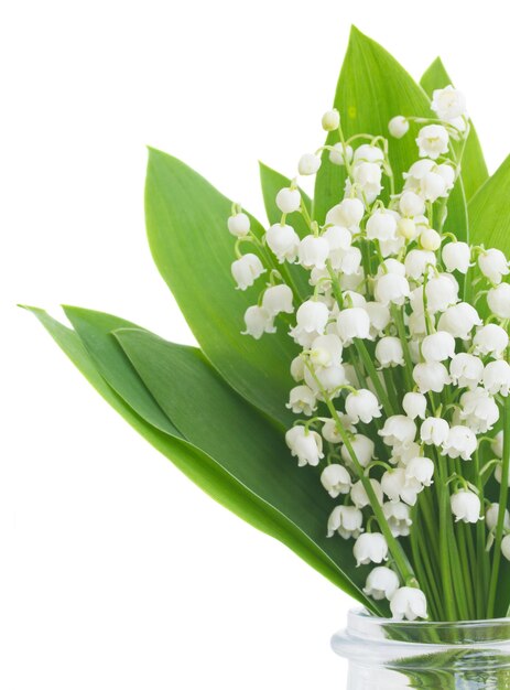 Lilly of the valley posy close-up isolado no fundo branco