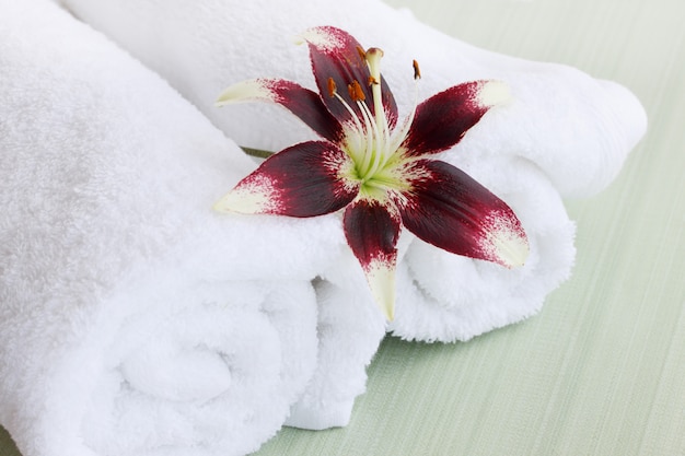 Lily e toalhas felpudas brancas