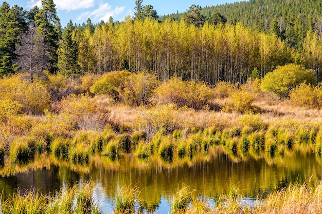 Lily Lake en las Montañas Rocosas de Colorado, EE.UU.